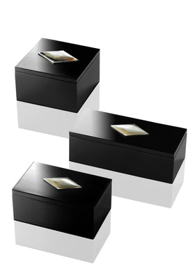 Glossed Lacquer and Polished Horn Boxes