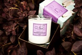 Grapefruit and Mangosteen