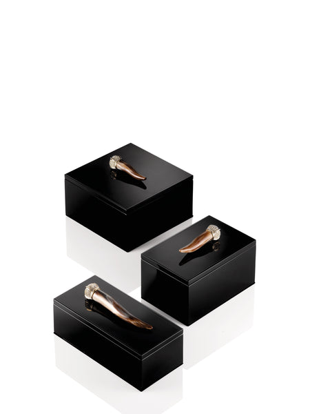Arca-Glossy Black Lacquer Horn Boxes